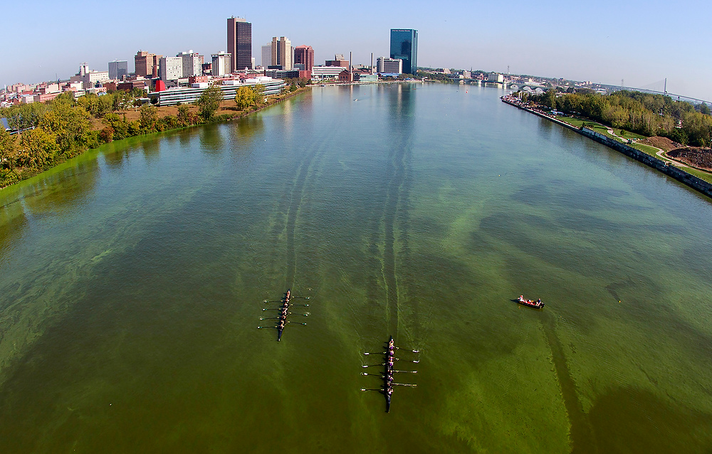 Second Place, News Picture Story - Andy Morrison / The BladeFor a city that was without water in 2014 due to water contaminated with microcystin, a potentially lethal toxin, when a section of the Maumee River in Toledo turned green from potentially toxic algae, fears were renewed that another water crisis was at hand. While this time the city did not have to shut off the water this, calls were increased to designate Lake Erie as "impaired" with the hope that Ohio and Michigan would further reduce the amount of algae-producing phosphorus pouring into the lake through connecting tributaries.  Teams race up a green Maumee River during the Frogtown Regatta. Blue-green algae, potentially toxic, turned the river green.
