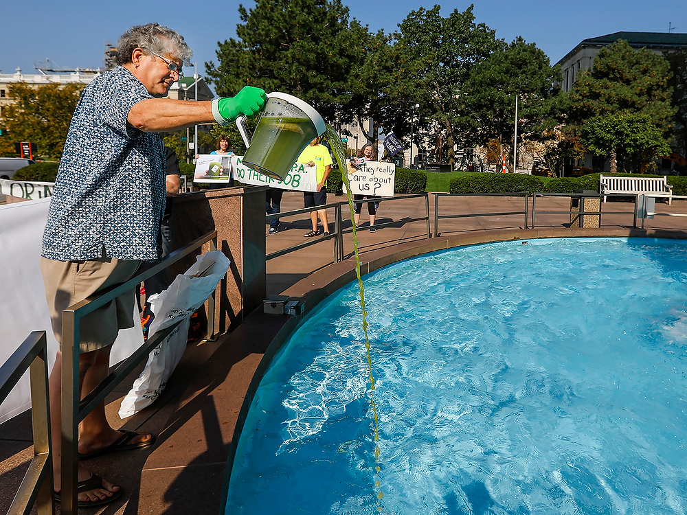Second Place, News Picture Story - Andy Morrison / The BladeMike Ferner dumps algae tainted Lake Erie water and dead perch into the fountain as members of Advocates for a Clean Lake Erie protest at One Government Center in Toledo.