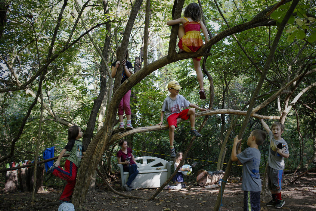 Students climb in a tree during outdoor play on Thursday, September 21, 2017 at Red Oak Community School in Columbus, Ohio. The two-year-old private school incorporates the outdoors and environmental awareness into much of its curriculum.