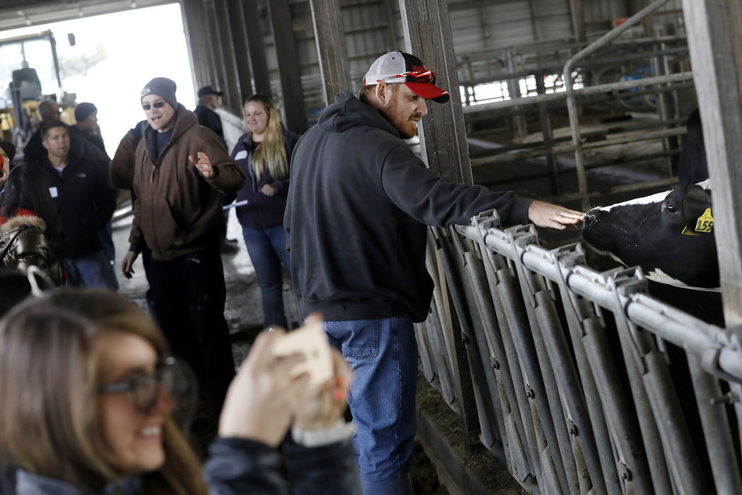 Genoa farmer Chad Gargas, center, reaches out to touch one of the milking cows as he and about 60 other people listen to dairy farmer Willem Van Rooijen, center left, talk about his operation during a tour of Naomi Dairy Tuesday, November 14, 2017, in Cygnet. Two busses of elected officials, state regulatory agency representatives, area business leaders, farmers, and residents toured several sites Tuesday in Northwest Ohio to highlight the efforts of farmers and other entities to fight soil erosion and fertilizer runoff. Mr. Gargas farms about 2,500 acres of corn, soybeans, wheat and hay.