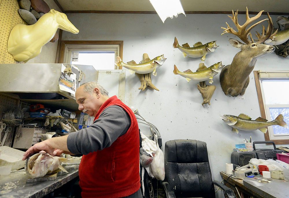 Third Place, George S. Smallsreed Photographer of the Year  - Erin McLaughlin / Sandusky RegisterMike Pusateri, a taxidermist, stretches walleye skin onto a foam mannequin while creating a mount for a customer on Jan. 5, 2017, at Mike's Taxidermy in Port Clinton. Pusateri has had a taxidermy business for about 39 years.