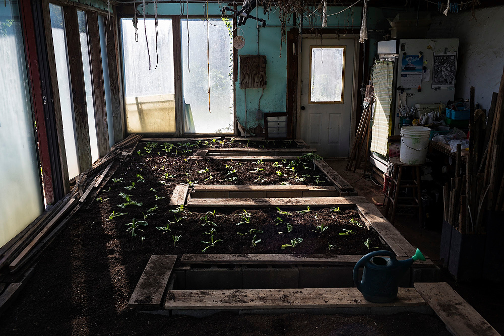 First Place, Chuck Scott Student Photographer of the Year - Erin Clark / Ohio UniversityFreshly planted seedlings soak up the afternoon light.