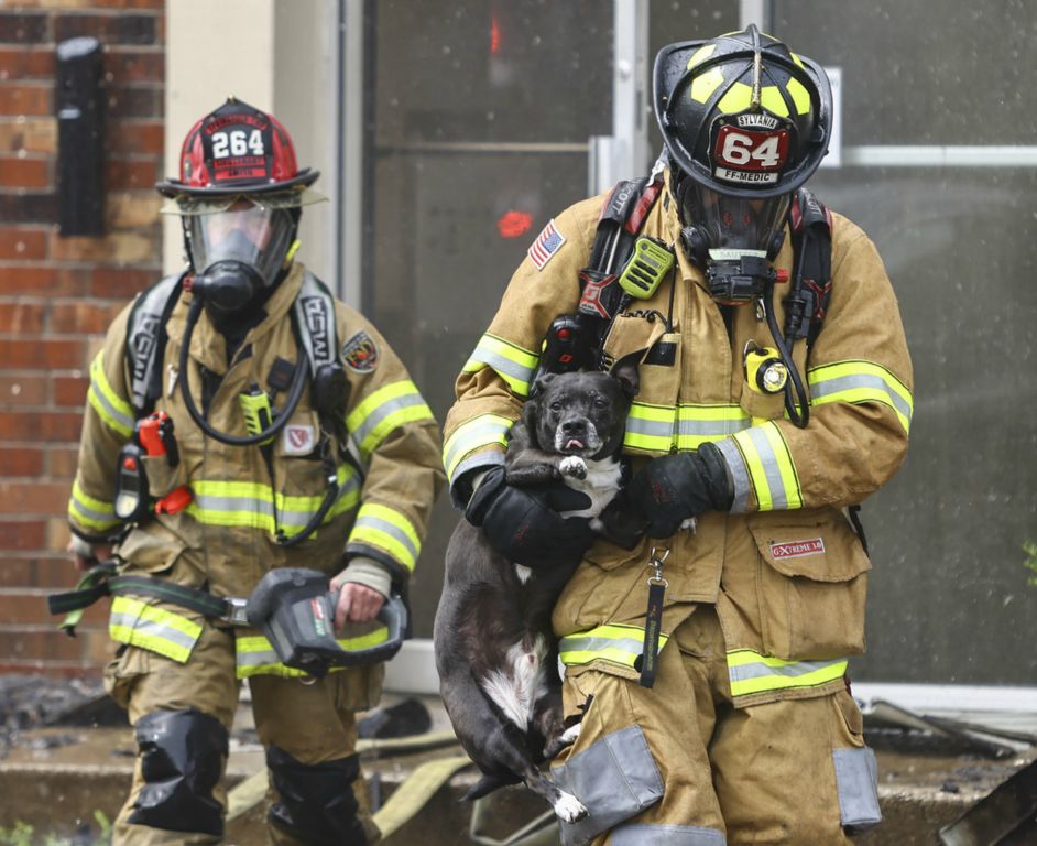 July -  Spot News - 2nd place - Firefighters rescue Ava Kaplan’s dog Spud from a burning apartment at Hunt Club Apartments in Sylvania.   (Jeremy Wadsworth / The Blade) 