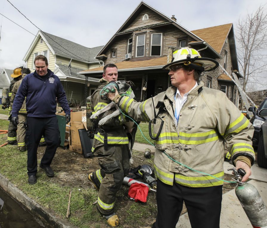 March - Spot News - 2nd place - Toledo Firefighters give oxygen to a dog who was affected by smoke inhalation during a fire at 966 Gordon Street in Toledo. (Jeremy Wadsworth / The Blade)