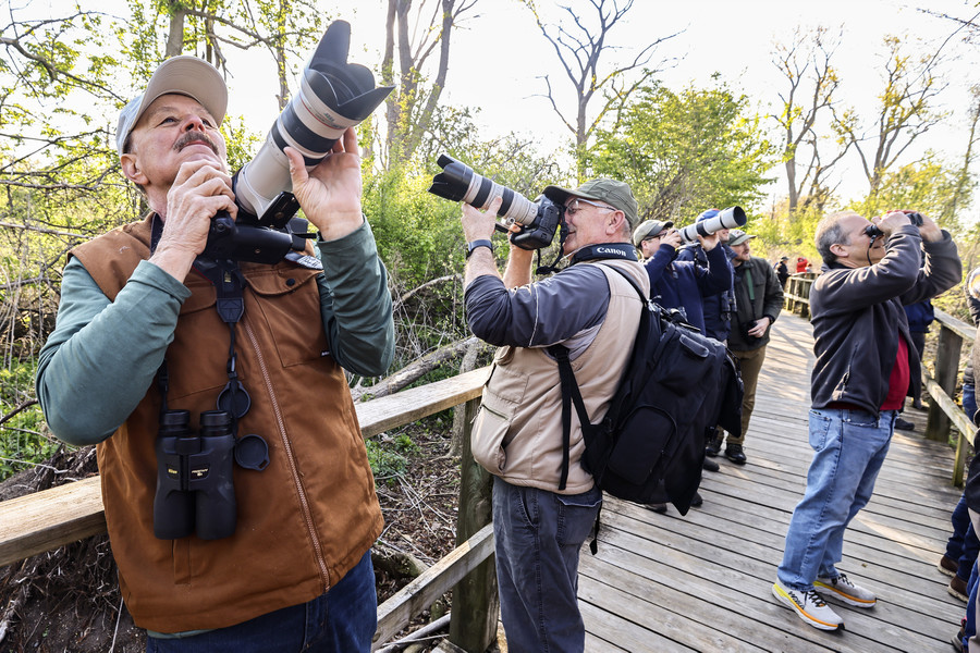 May - Story - 1st place - From left Frank Elia and his brother Terry Elia of Chicago  photograph migratory birds during the opening day of the Biggest Week in American Birding at Magee Marsh in Oak Harbor.  (Jeremy Wadsworth / The Blade)