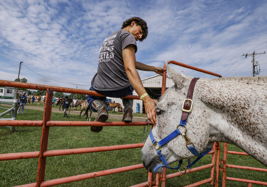 Juy - Feature - 1st place - Rylan Andrews, 17, of Delta, pets his horse “Durango” before showing him during the Lucas County Fair in Maumee.  (Jeremy Wadsworth / The Blade)