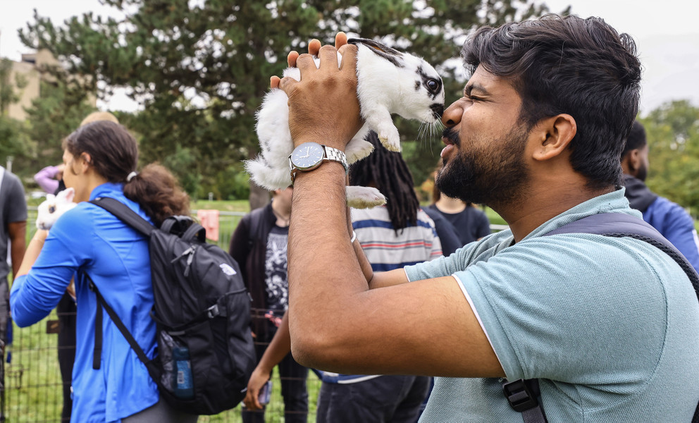 September - Feature - HM - Graduate student Shubham Shinde rubs noses with a rabbit at a petting zoo set up on the Memorial Field House Lawn as part of Homecoming Week at the University of Toledo. (Jeremy Wadsworth / The Blade)